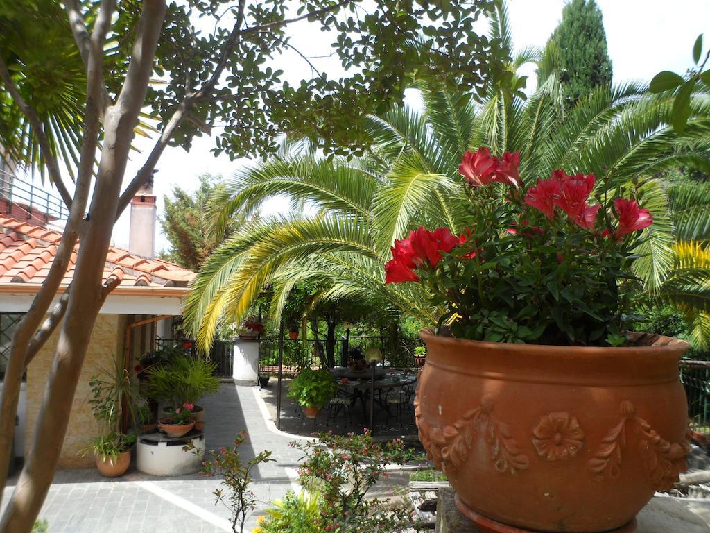 Bed And Breakfast El Dueno Palinuro Exterior photo